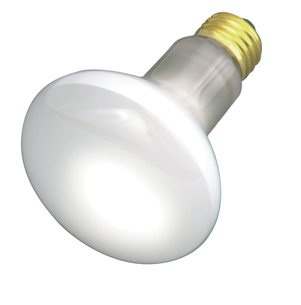 Satco Lighting S2810-TF   Light Bulb White