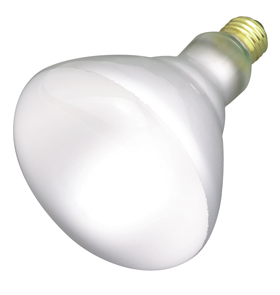 Satco Lighting S2853-TF  Light Bulb White