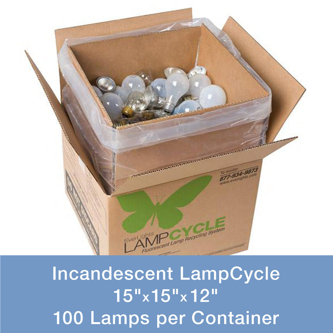 Everlights Recycling 9000124  Incandescent Lampcycle Mail-In Kit Decor Bronze / Dark