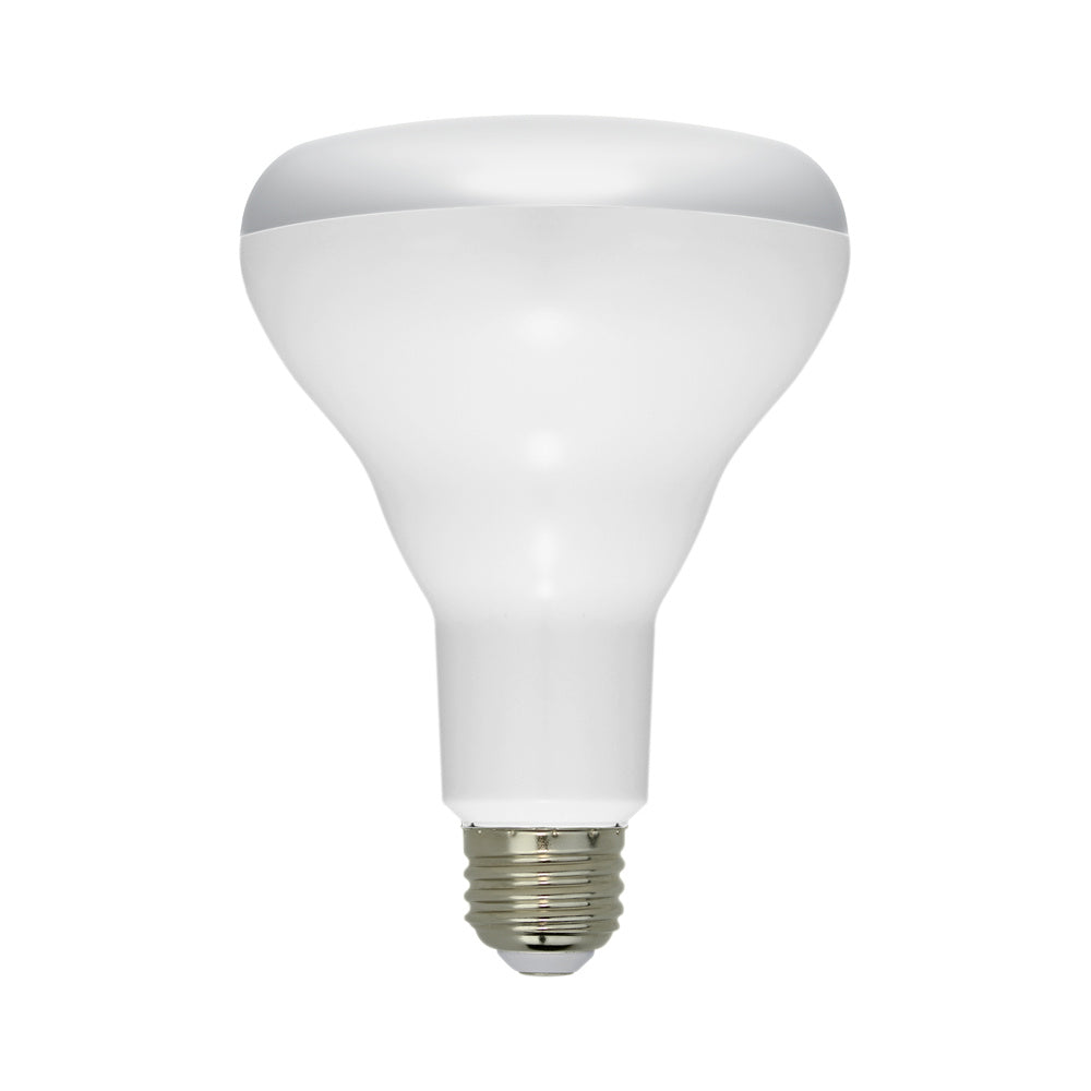 Euri Lighting EB30-2020   Light Bulb Frosted