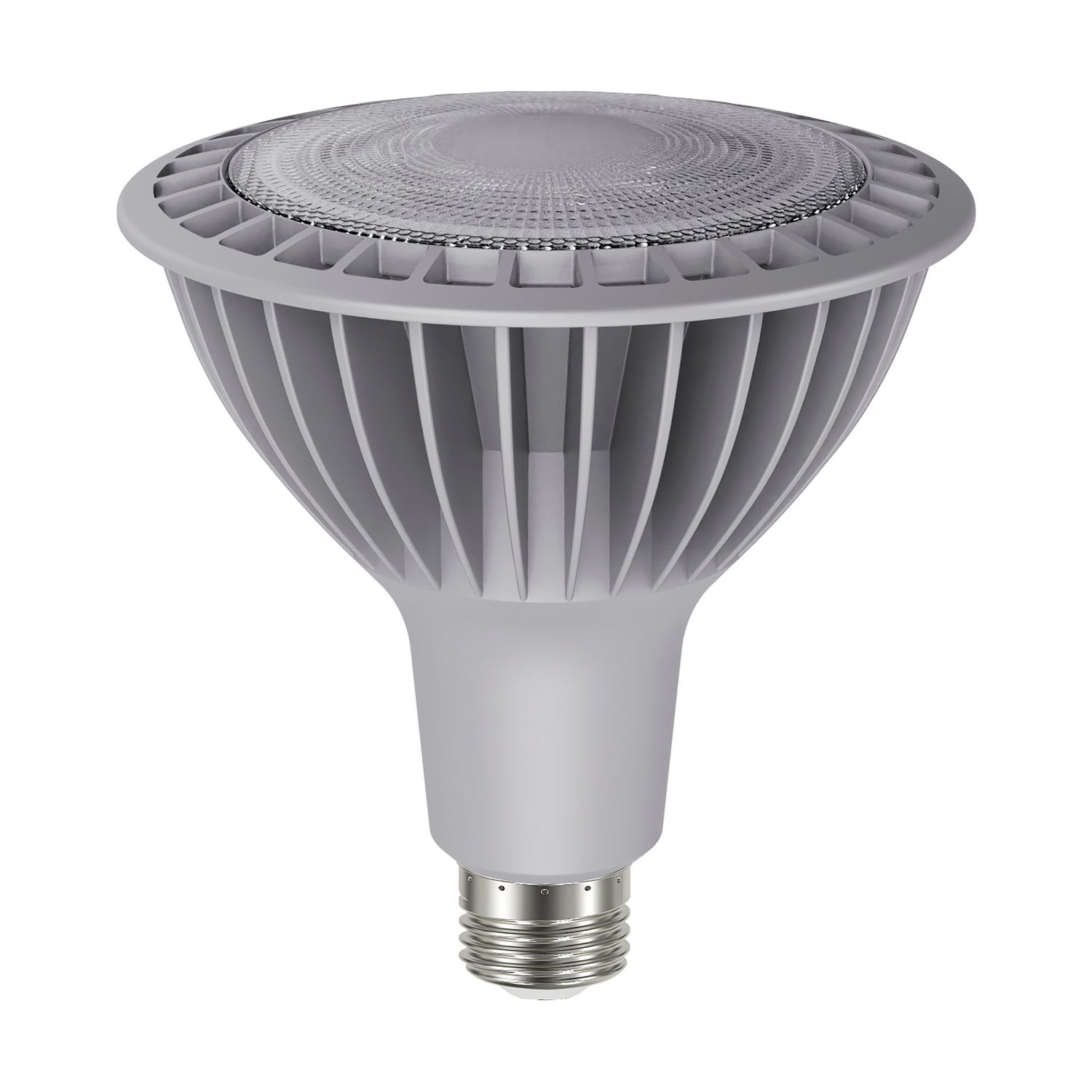 Satco Lighting S29761   Light Bulb Silver