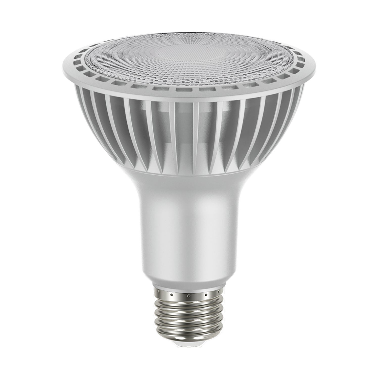 Satco Lighting S29765   Light Bulb Silver