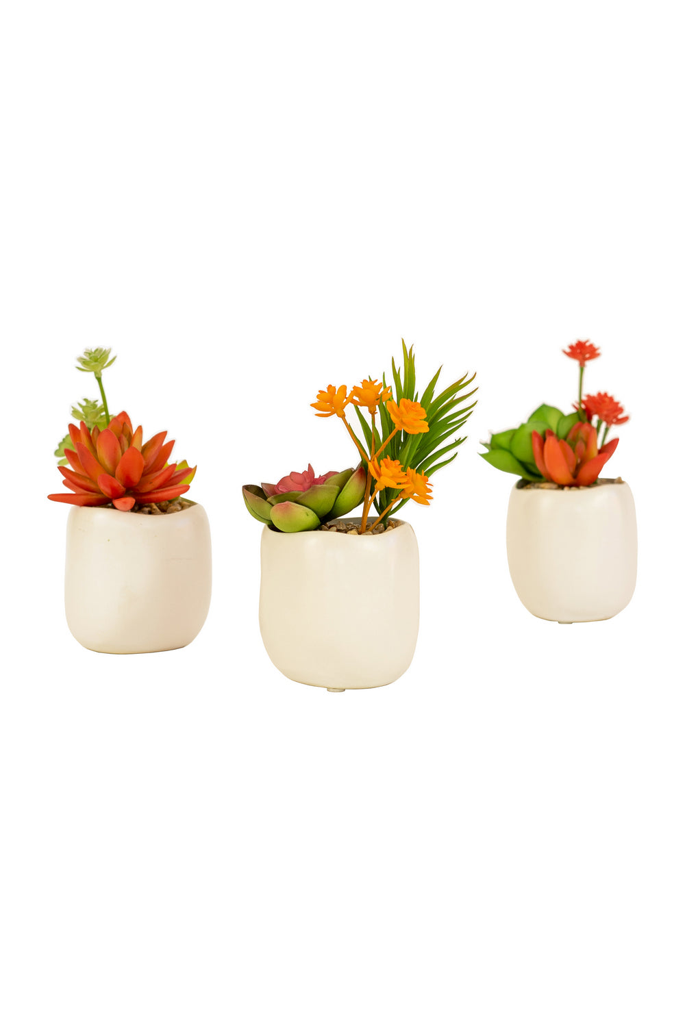 Kalalou Lighting CYF1349  Set Of Three Succulent Plants In A White Pot Home Decor White
