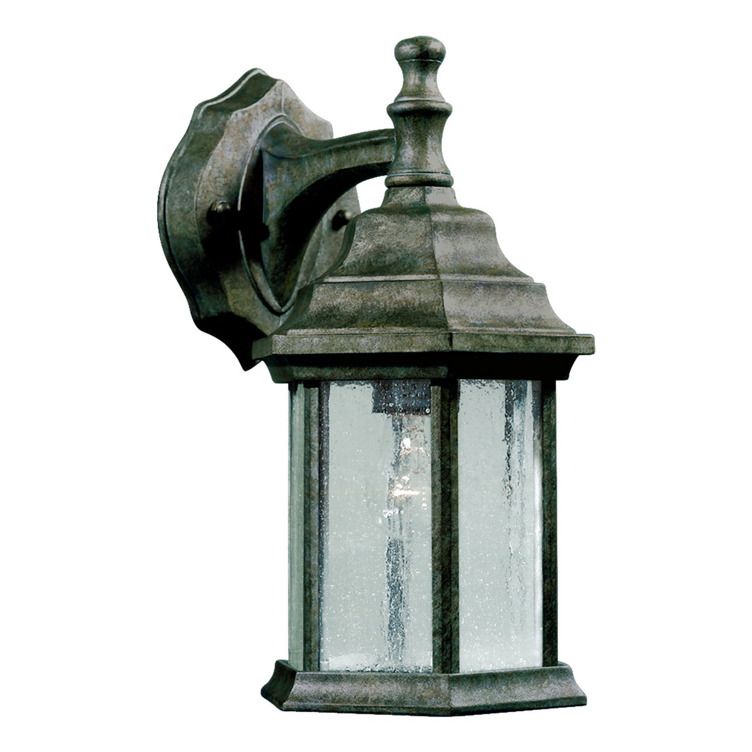 Forte Lighting 1725-01-59  One Light Outdoor Lantern Outdoor Pewter, Nickel, Silver