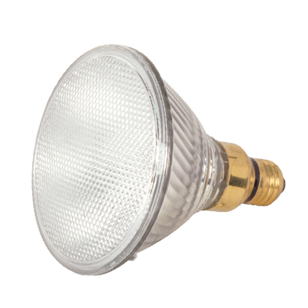 Satco Lighting S2245  Light Bulb Clear