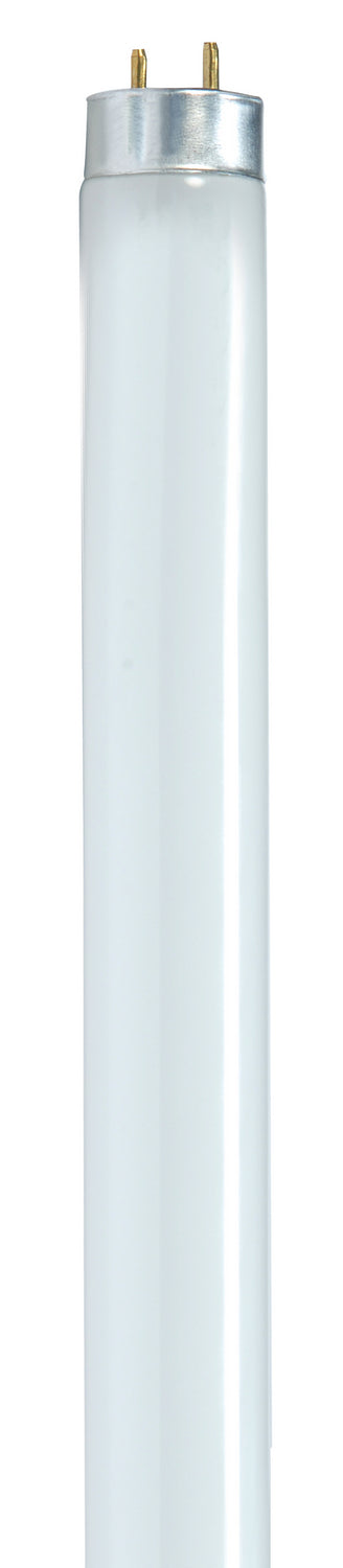 Satco Lighting S8419   Light Bulb Gloss White