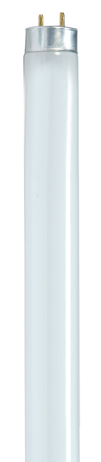 Satco Lighting S8436   Light Bulb Gloss White