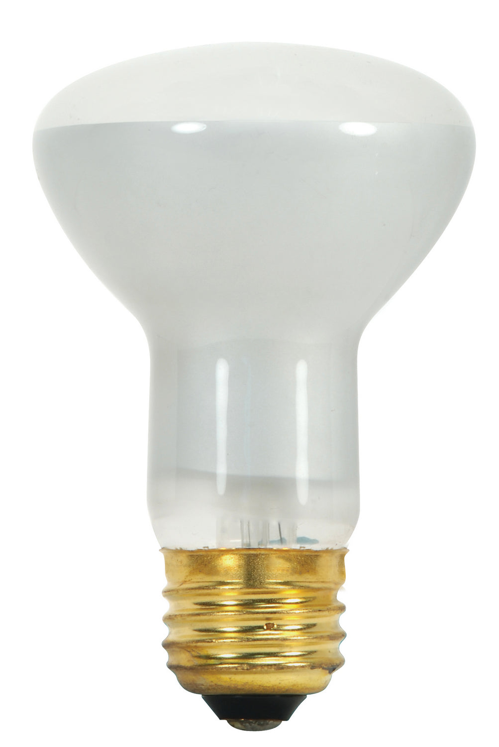 Satco Lighting S8519   Light Bulb Frost