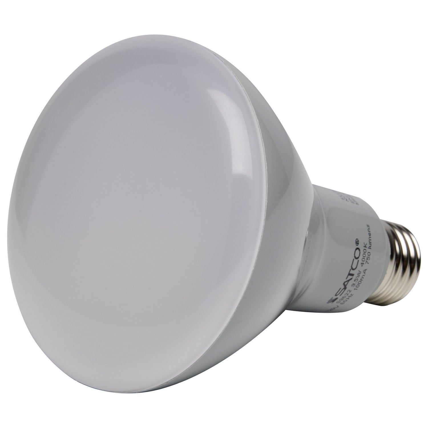 Satco Lighting S9624   Light Bulb Frost