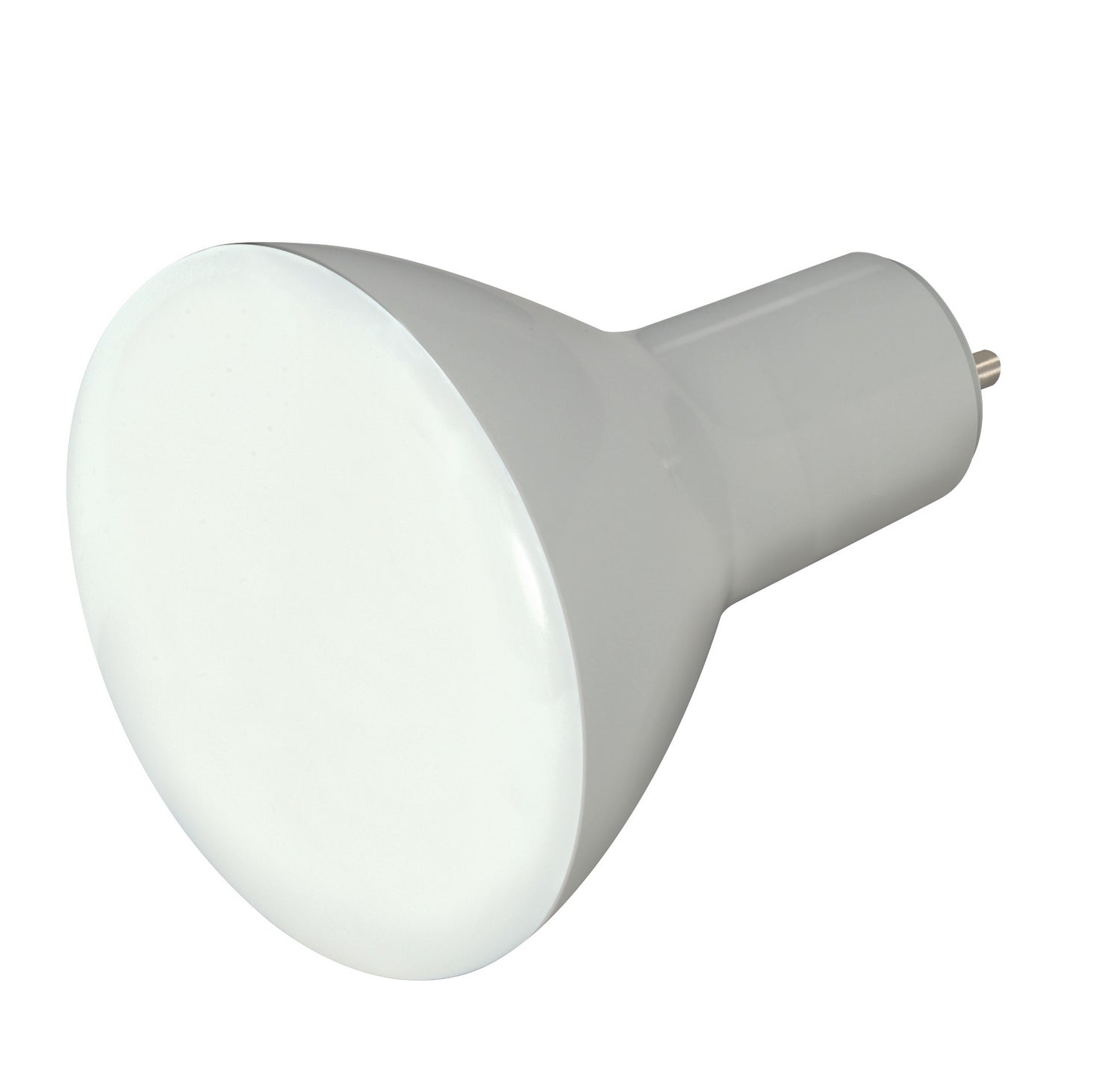 Satco Lighting S9624   Light Bulb Frost