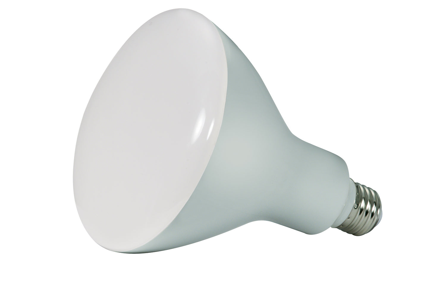 Satco Lighting S9641   Light Bulb Frost