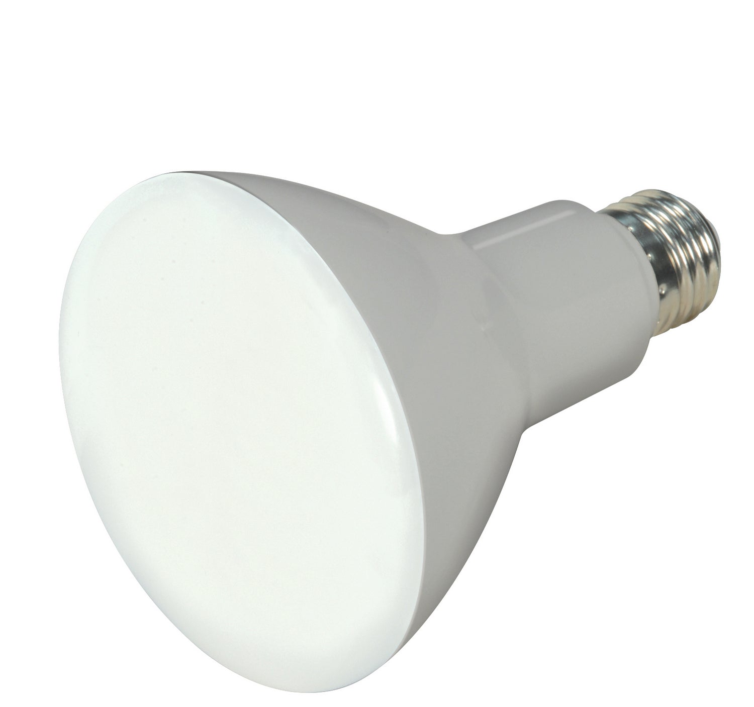 Satco Lighting S9698   Light Bulb Frost