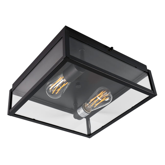 Norwell Lighting 1184-MB-CL Capture Two Light Outdoor Flush Mount Outdoor Black