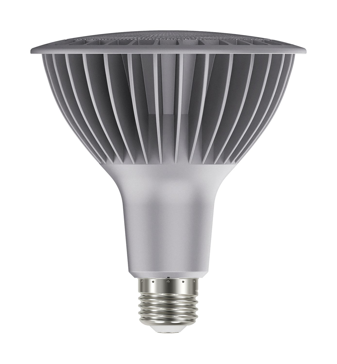 Satco Lighting S22253   Light Bulb Silver