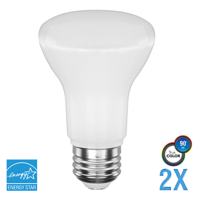 Euri Lighting EB20-4050E-2  Light Bulb Frosted