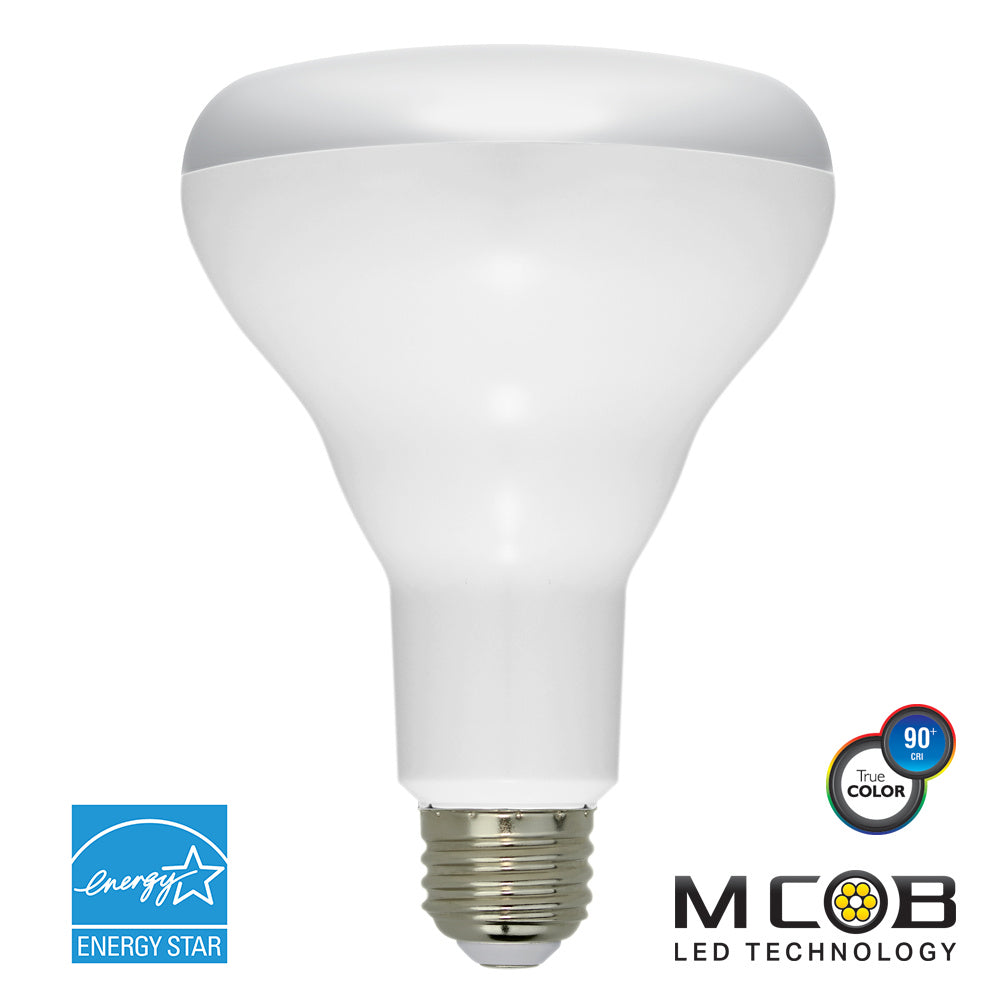 Euri Lighting EB30-2000E   Light Bulb Frosted