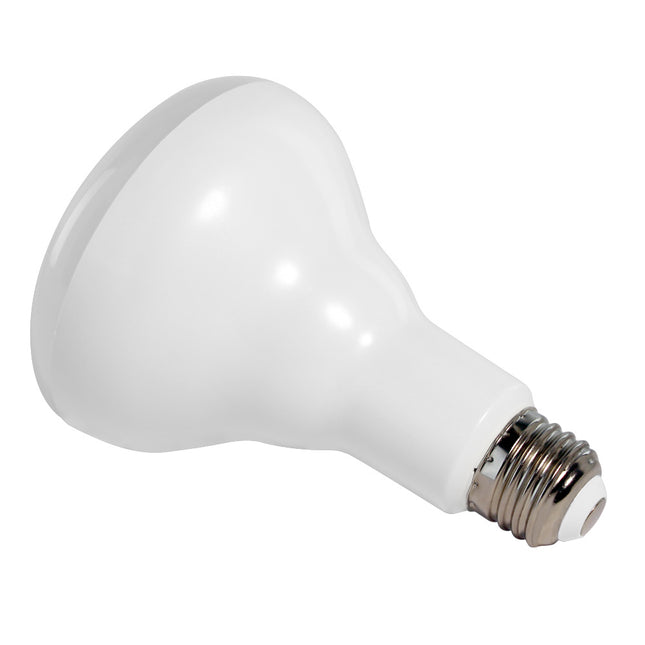 Euri Lighting EB30-2020  Light Bulb Frosted