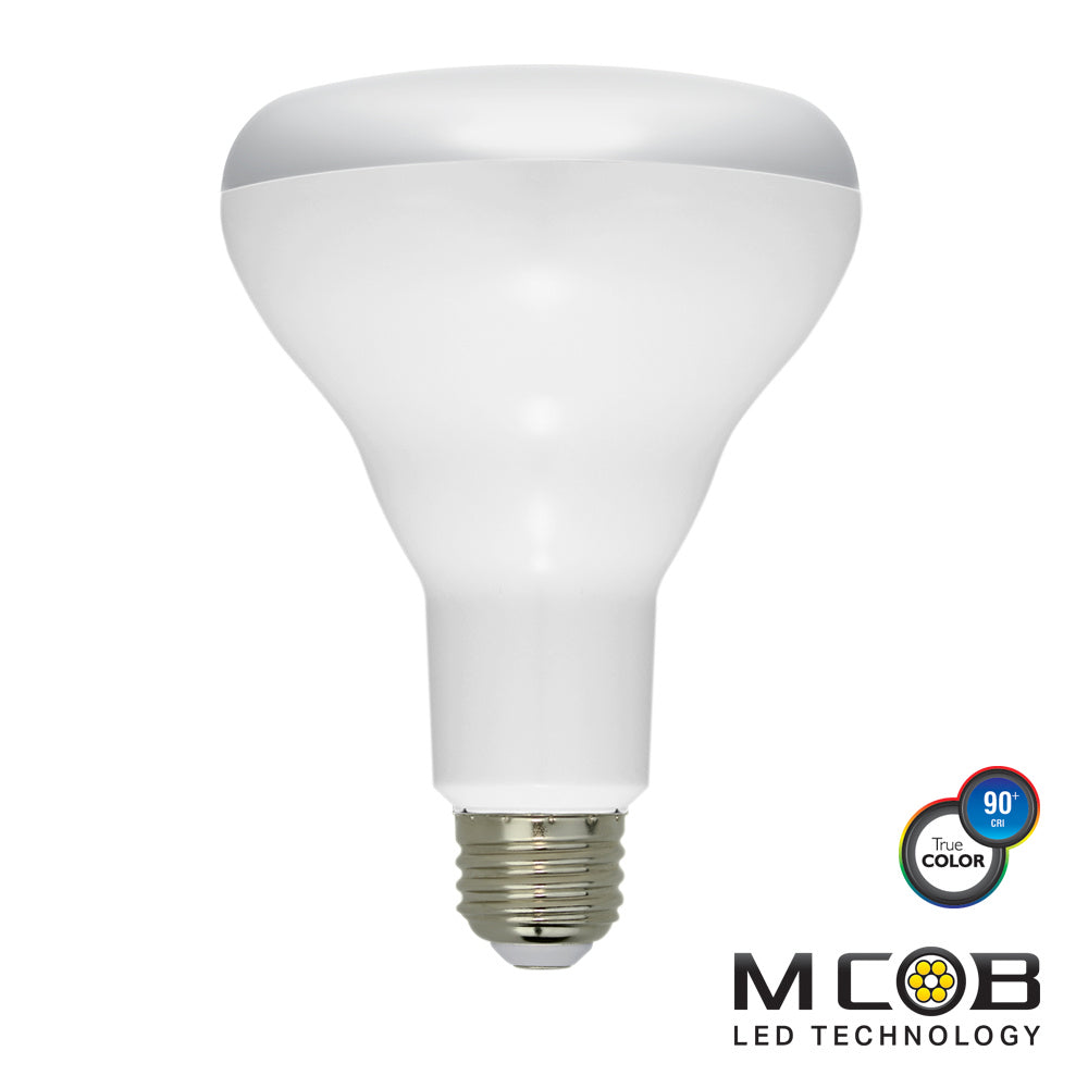 Euri Lighting EB30-2020   Light Bulb Frosted